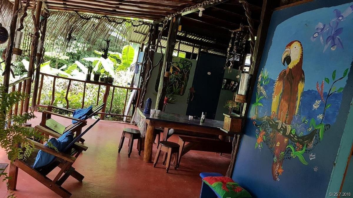 Drakes Bay Vista Alta Ecolodge Bahia Drake מראה חיצוני תמונה