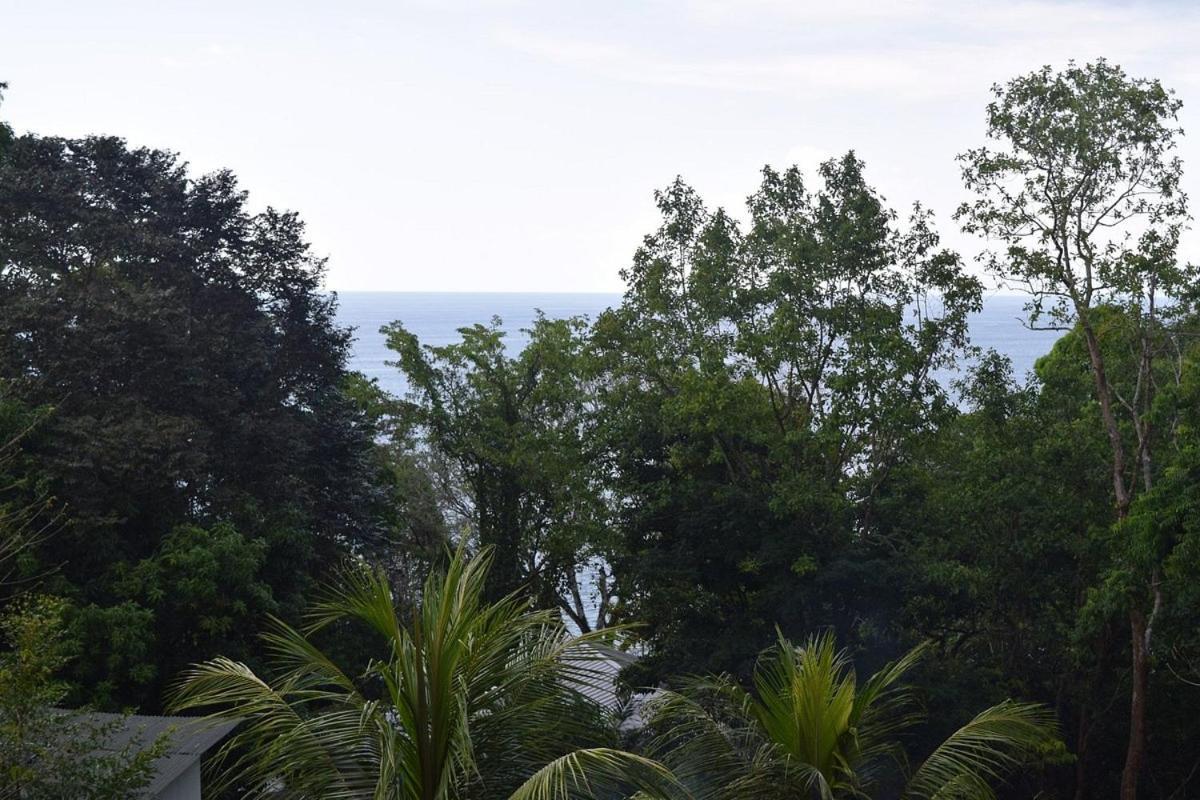 Drakes Bay Vista Alta Ecolodge Bahia Drake מראה חיצוני תמונה