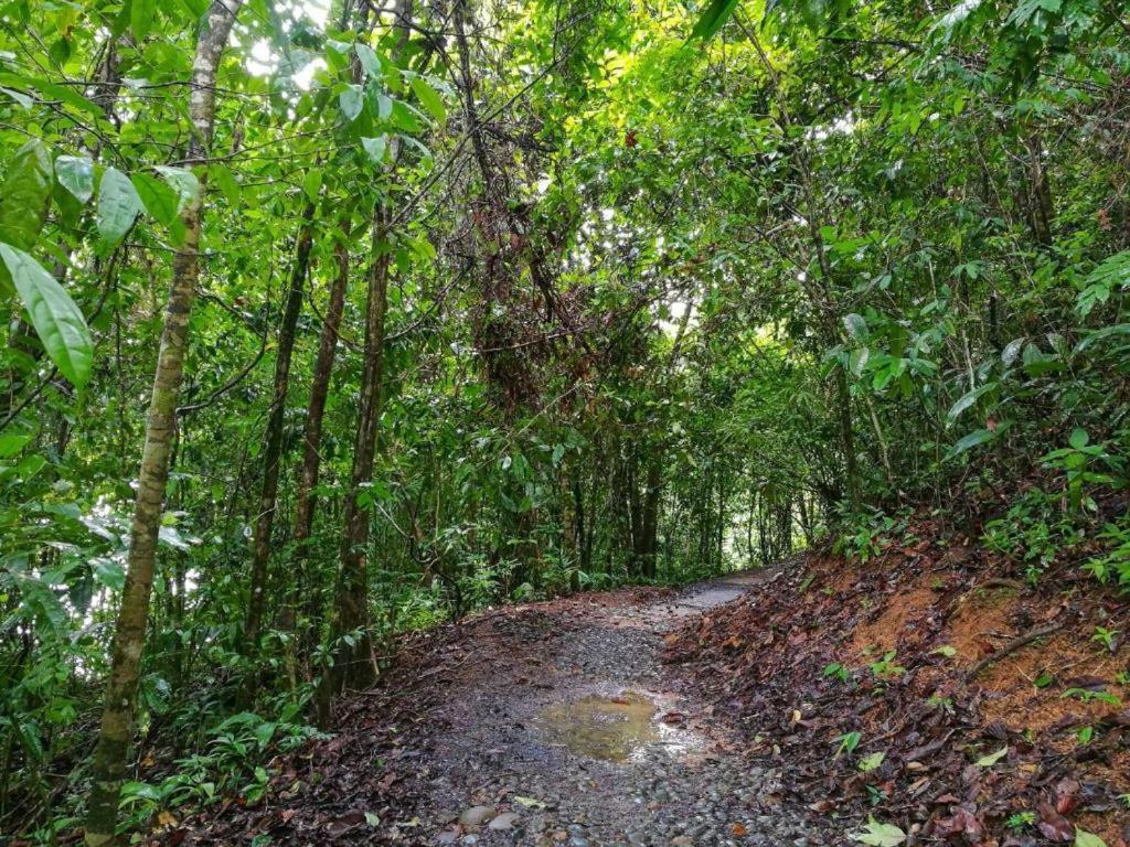 Drakes Bay Vista Alta Ecolodge Bahia Drake מראה חיצוני תמונה