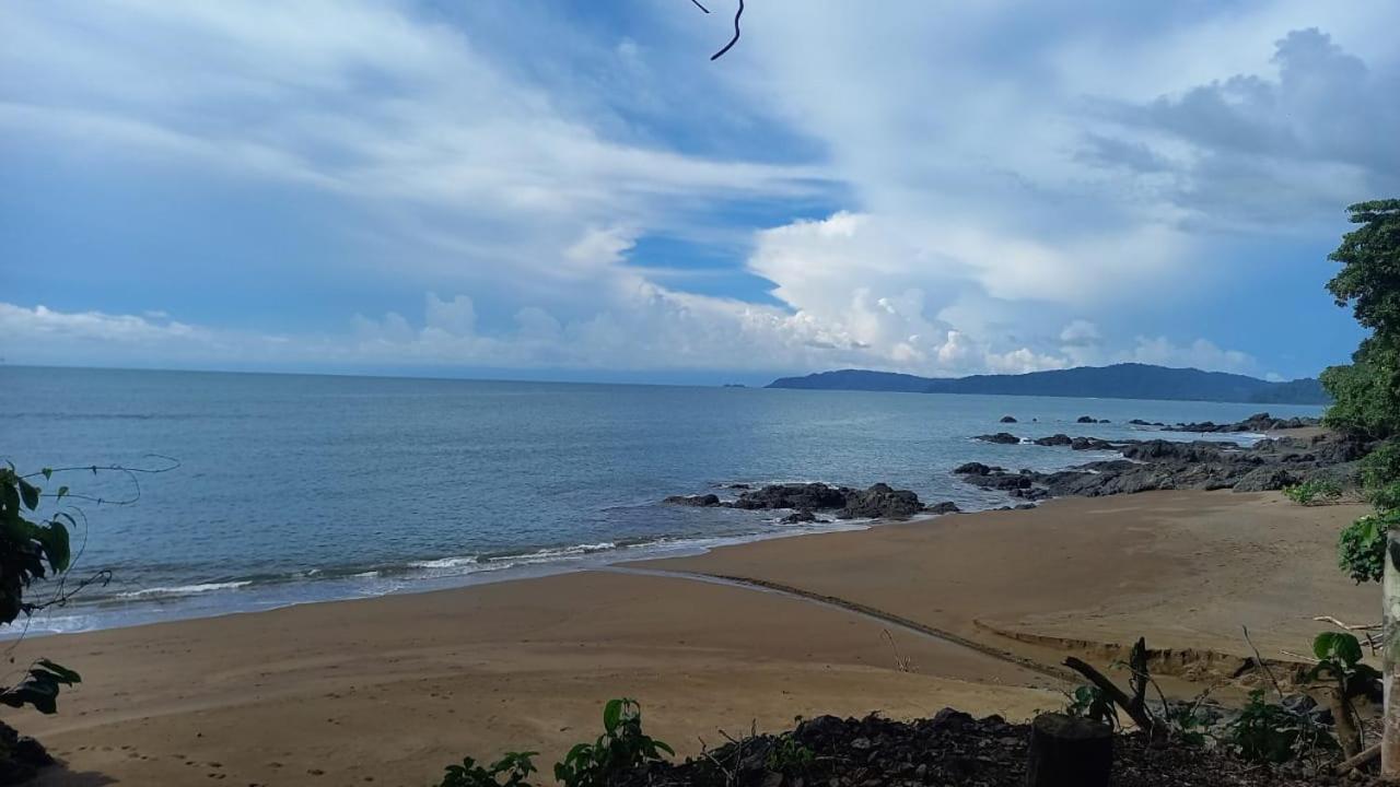 Drakes Bay Vista Alta Ecolodge Bahia Drake מראה חיצוני תמונה