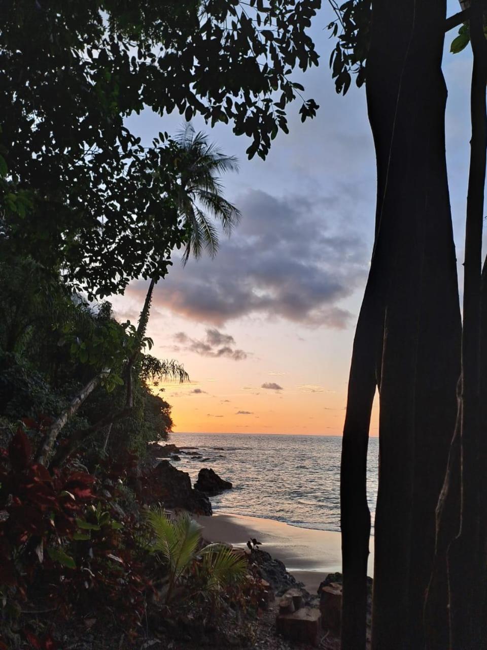 Drakes Bay Vista Alta Ecolodge Bahia Drake מראה חיצוני תמונה