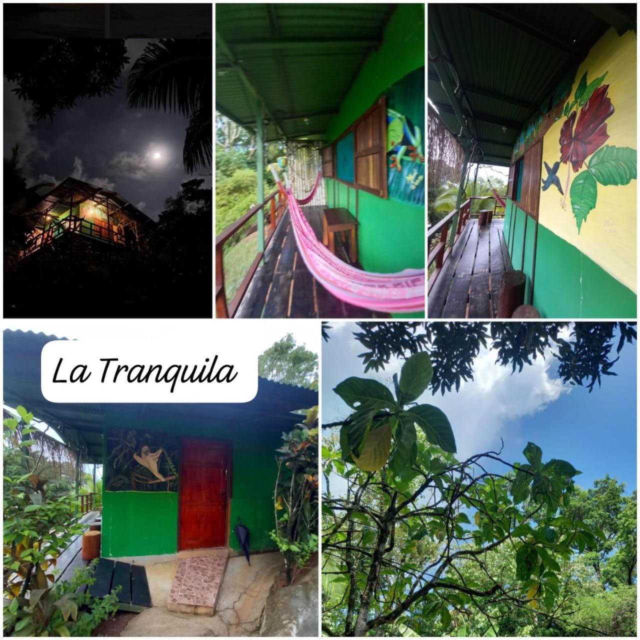 Drakes Bay Vista Alta Ecolodge Bahia Drake מראה חיצוני תמונה
