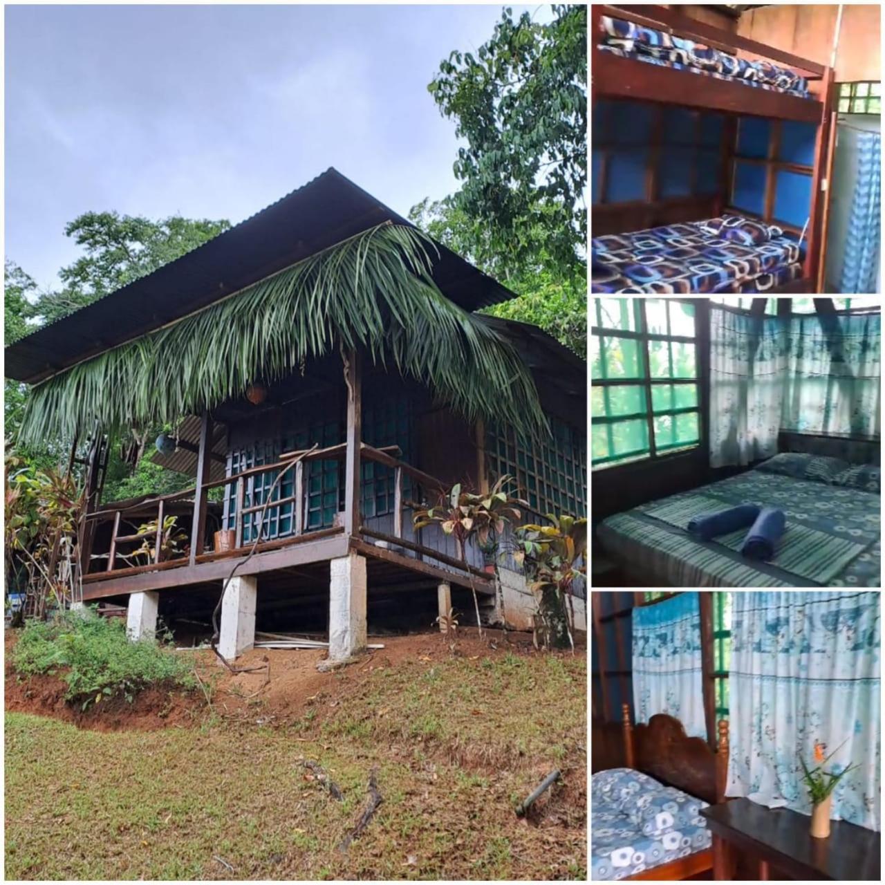 Drakes Bay Vista Alta Ecolodge Bahia Drake מראה חיצוני תמונה
