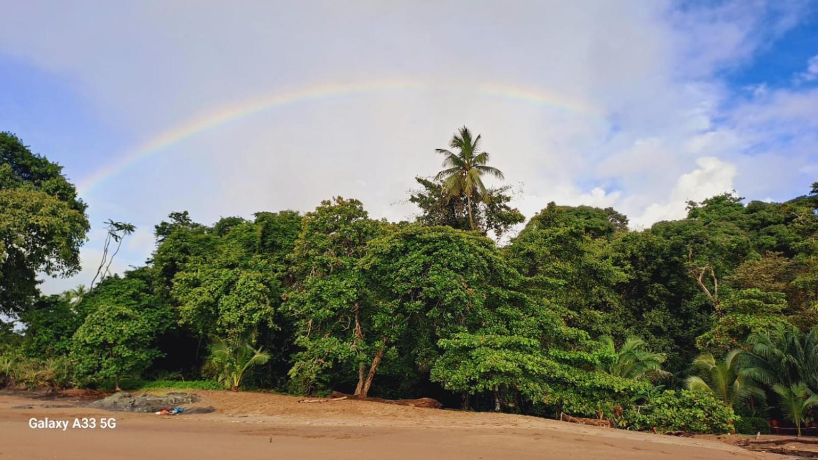 Drakes Bay Vista Alta Ecolodge Bahia Drake מראה חיצוני תמונה