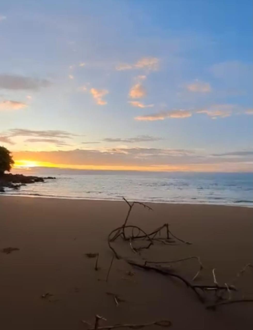 Drakes Bay Vista Alta Ecolodge Bahia Drake מראה חיצוני תמונה