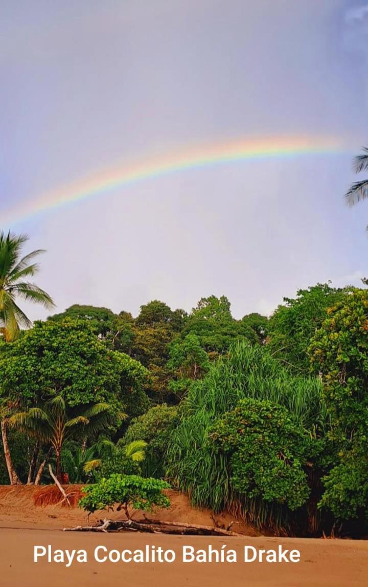 Drakes Bay Vista Alta Ecolodge Bahia Drake מראה חיצוני תמונה